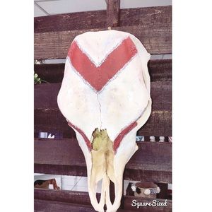 Cow Skull Decor